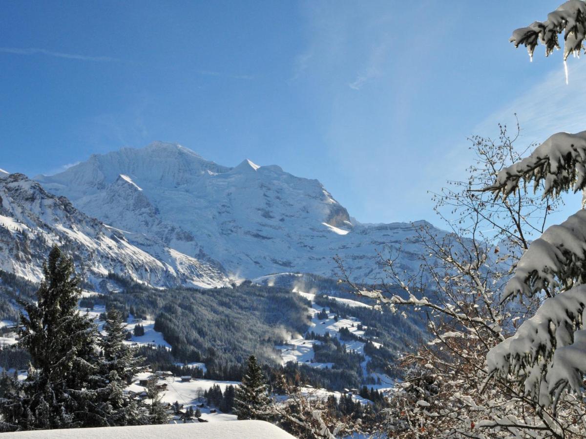Apartment Eiger Residence Apt-A-425 By Interhome Wengen Bagian luar foto